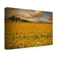 thumbnail image 4 of Piotr Krol 'Sunflowers' Canvas Art, 4 of 4