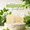thumbnail image 2 of Esponja natural de lufa para platos Miw Piw, paquete de 30, biodegradable, 2 of 7