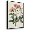 thumbnail image 3 of Pink Floral Mix IV - Framed Premium Gallery Wrapped Canvas L Frame 3 Piece Set - Ready to Hang, 3 of 9