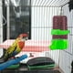 thumbnail image 4 of Comedero Automático para Pájaros y Bebedero para Jaulas, Bebedero de Plástico con Clip para Loros, Periquitos, Agapornis y Cacatúas, 10 X 14 X 6 Cm, 4 of 7