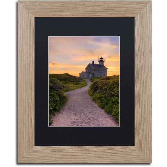 Trademark Fine Art "Up To The Light" Canvas Art by Michael Blanchette Photography Black Matte, Birch Frame