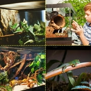 NEPTONION Professional Glass Terrarium 12x12x18 Durable Reptile Habitat Tank with Heat Resistant Aluminum Alloy Frame, Dual Front Swinging Doors for no Jam by Sand and Other Debris