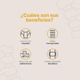 thumbnail image 4 of Corrector de Postura para Adulto Talla M | Ajustable con Correas | Malla Transpirable | B Life, 4 of 6
