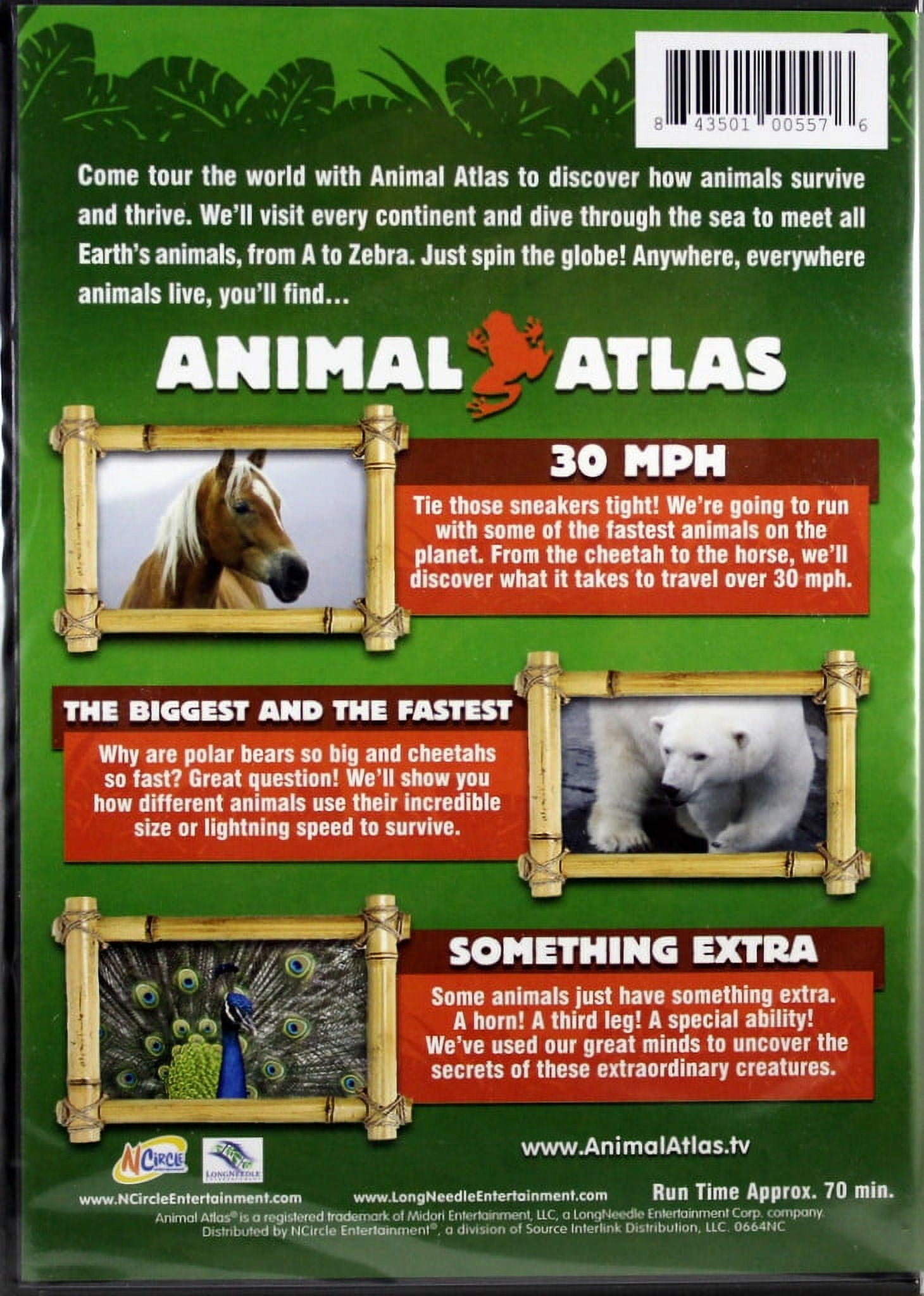Animal Atlas: Super Hero Animals - Walmart.com