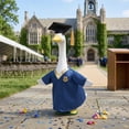 thumbnail image 4 of Forfamy Hawaiian Goose Outfit Summer Porch Goose Outfits Bikini Goose Clothes Cute Goose Costume for Outdoor Garden Yard Decor, 4 of 5