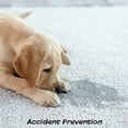 thumbnail image 3 of PETMAKER Set of 3 Replacement Turf Grass Pee Pads - Puppy Essentials, 3 of 6