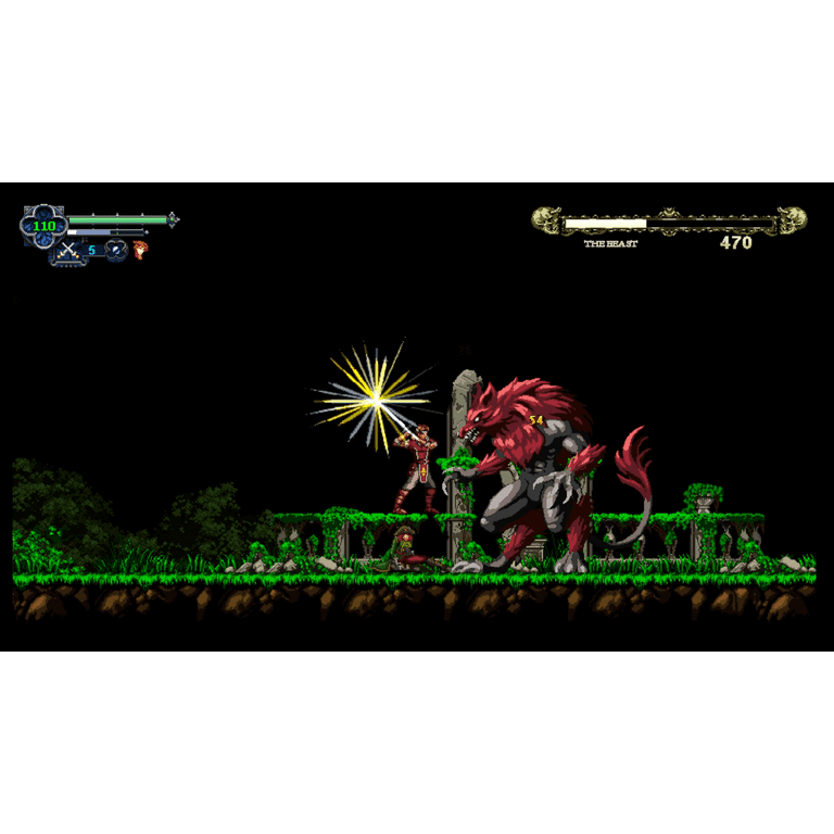 Chronicles of the Wolf, Nintendo Switch - Walmart.com