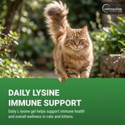 Vetoquinol Viralys Gel L-Lysine Supplement for Cats, 5oz - Cats & Kittens of All Ages - Immune Health - Sneezing, Runny Nose, Squinting, Watery Eyes - Palatable Maple Flavor Lysine Gel