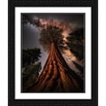 thumbnail image 2 of Maki 26x31 Black Ornate Wood Framed With Double Matting Wall Art Titled - Reach For The Stars I, 2 of 6