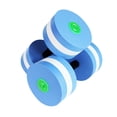 thumbnail image 1 of SHISUYAN 2 Pcs Haltères pour Exercices en Piscine Ronds à Chaque Extrémité 11.0X5.9in EVA Adultes, 1 of 8