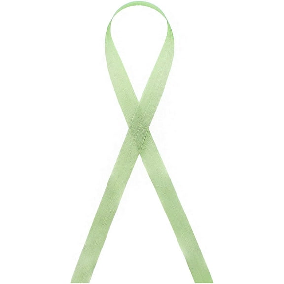 Seam Binding Rayon Ribbon 1/2-Inch x 100 Yards (171 - Mint Leaf)