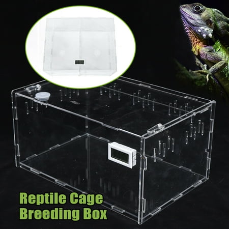Miumaeov 1 Grid Acrylic Plant Pet Reptile Terrarium Feeding Tanks Insect Breeding Box