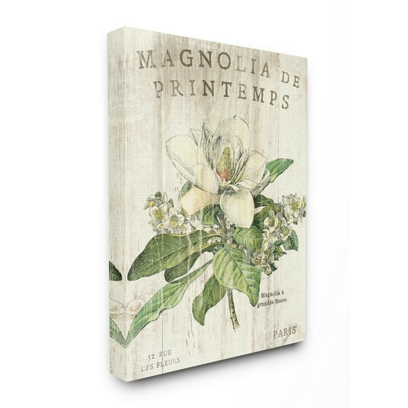 Stupell IndustriesFrench Magnolias In SpringCanvas Wall Art by Sue Schlabach