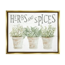 Stupell Industries Country Herbs & Spices Botanical & Floral Painting Gold Floater Framed Canvas Art Print Wall Art, 21 x 17