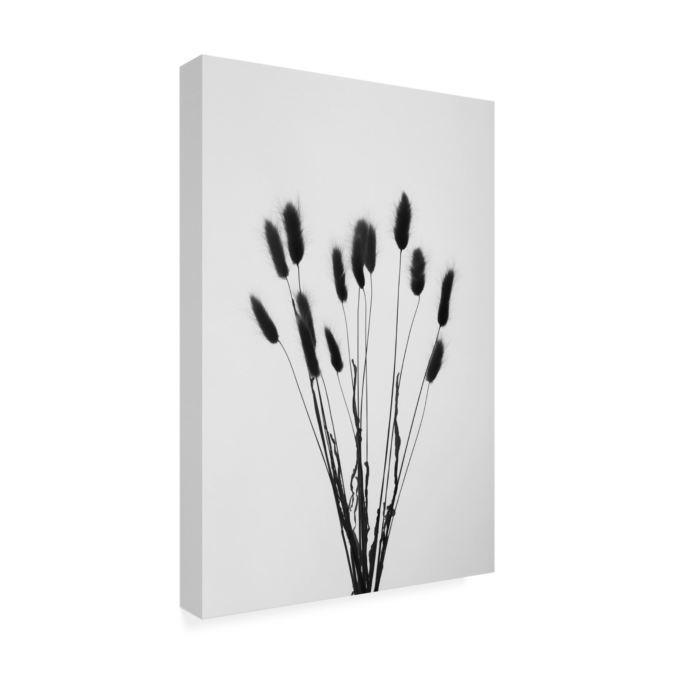 Trademark Fine Art Pictufy Studio Bunny Grass No 2 Canvas Wall Art