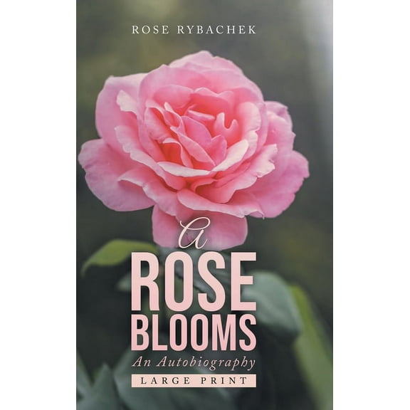 A Rose Blooms, (Hardcover)