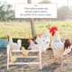 thumbnail image 4 of Pollo pollo de pie bastidor madera gallo gallina stand aves perca mascota juguete, 4 of 5