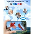 thumbnail image 4 of Comedero para Pájaros MZniros Triple Solar con Cámara WiFi 2K, 4 of 7