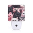 thumbnail image 1 of Balery Cute Kittens Group Portrait Luz Nocturna LED con Sensor Automático, Enchufe con Sensor Crepuscular, Luz Suave de 0.5W para Dormitorio, Pasillo, Baño-UK, 1 of 7