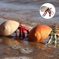 thumbnail image 2 of Figura de animal ermitaño, modelo estático de animal marino hecho a mano - Modelos de fondo marino para el hogar beige, 2 of 9