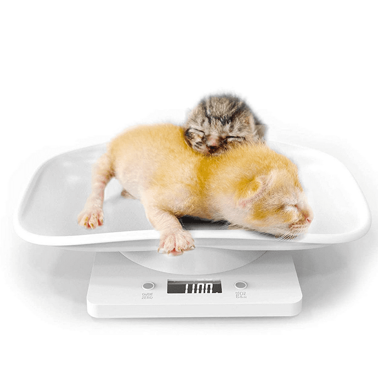 Digital Puppy Scale,Small Pet Scale, Accurate Puppy Scale for Weighing,Cat  Weight Scale with Removable Tray and Measure Tape,Mini Kitchen Scale,33 lbs  - Yahoo Shopping