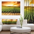 thumbnail image 1 of Panorama de Vignoble au Coucher du Soleil - Art Mural Paysage Extra Grand, 1 of 3