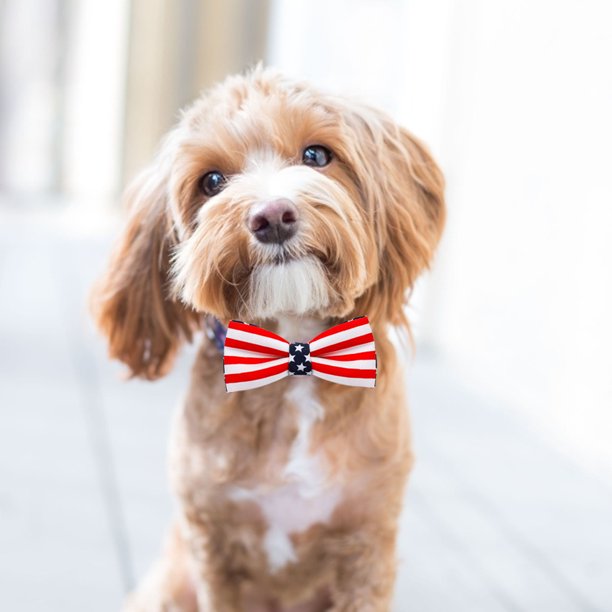 Collar de moda para cachorro Collar de bandera americana con pajarita Wdftyju correa ajustable para el cuello suministros de decoración para mascotas de retazos