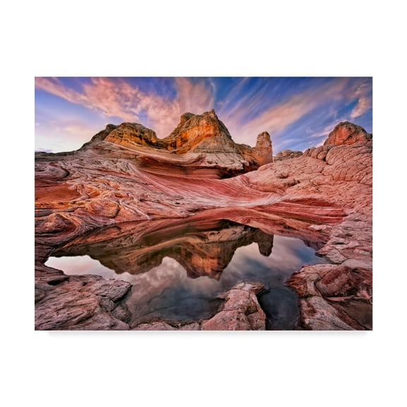 Trademark Fine Art 'Arizona Reflection I' Canvas Art by David Drost