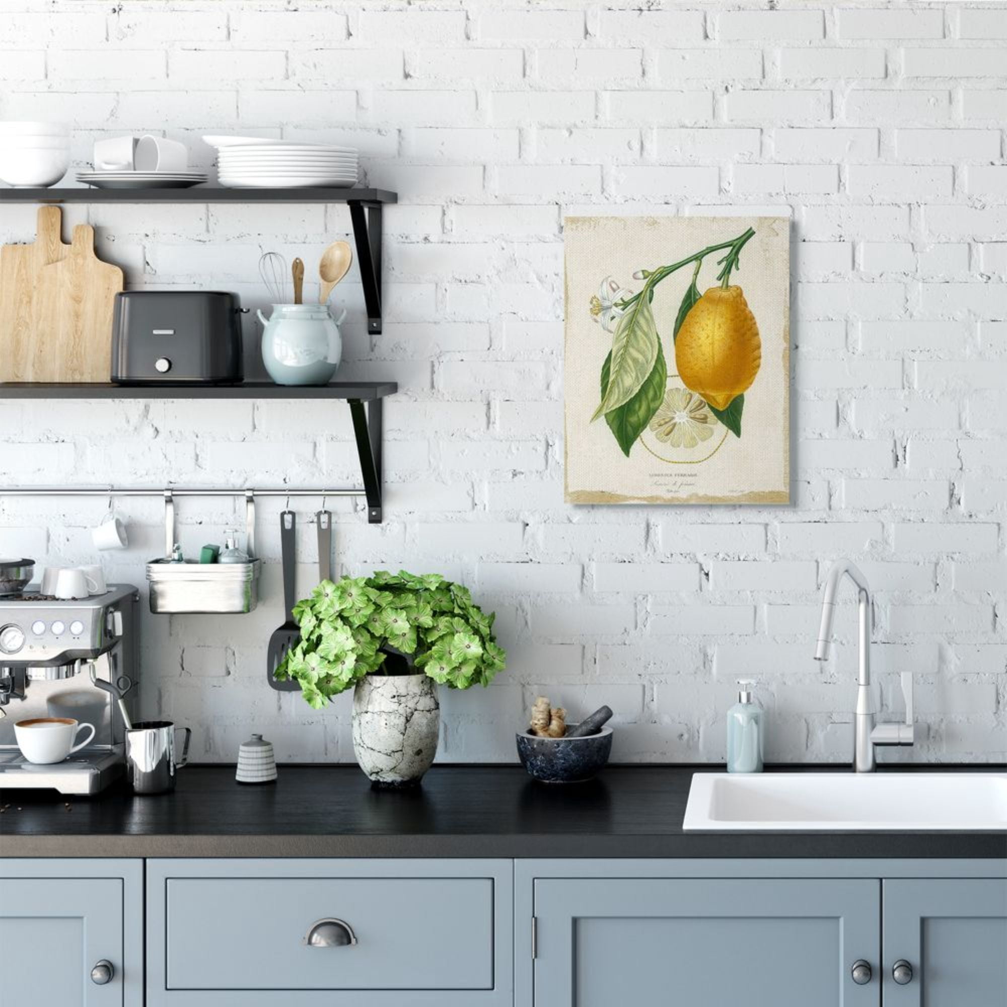 Stupell Industries Traditional Citrus Illustration French Lemon Branch Design by Studio W, 16" x 20"