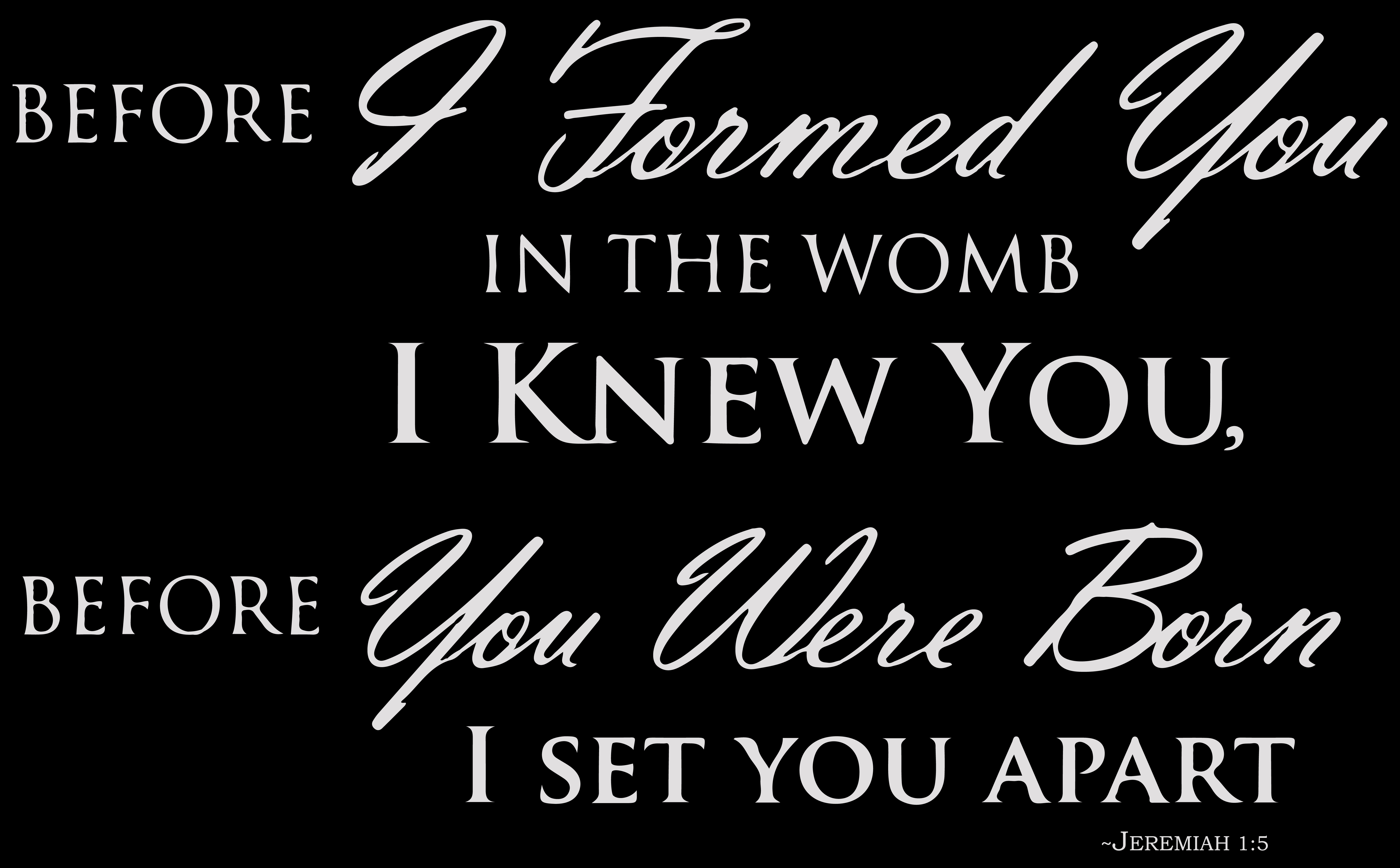 Jeremiah 15 Before I Formed You In The Womb Vinyl Decal Sticker Quote