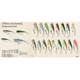 thumbnail image 2 of Rebel Pop-R Fishing Lure - Tennessee Shad, 2 of 3