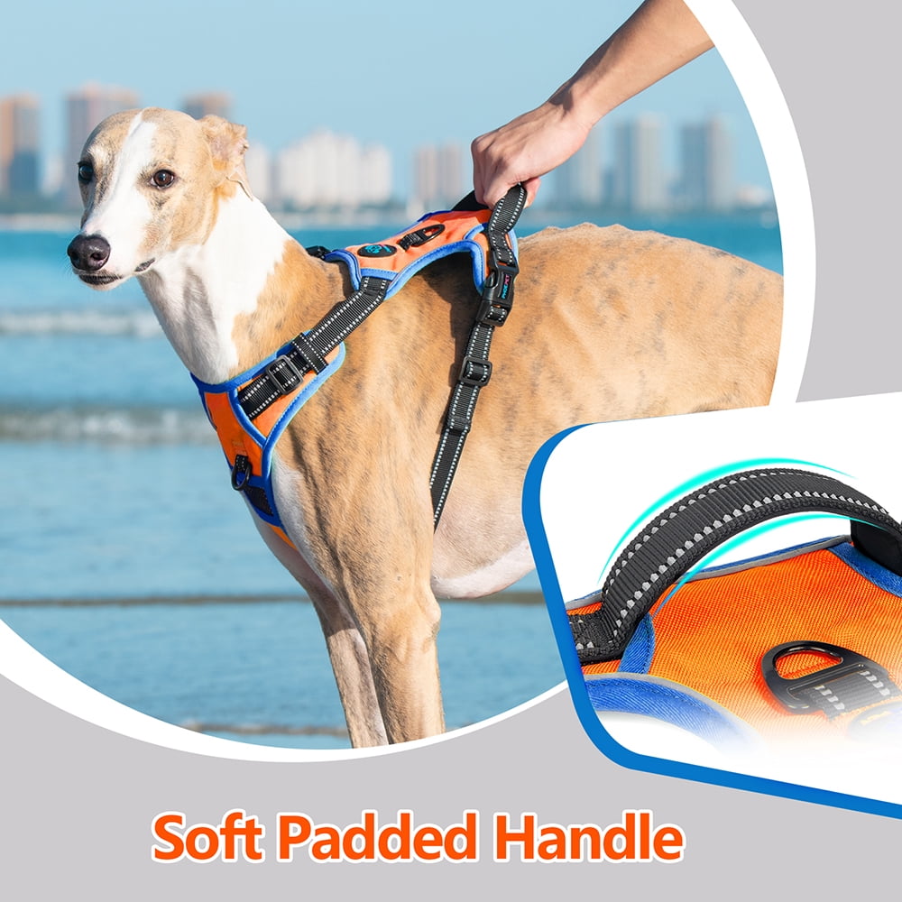 PHOEPET 2019 Upgraded No Pull Dog Harness, Reflective Adjustable Vest, with a Training Handle + 2 Metal Leash Hooks+ 3 Snap Buckles +4 Slide Buckles