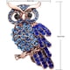 thumbnail image 4 of Guardurnaity 5 uds conjunto de broches para mujer búho abeja libélula pavo real colibrí broche de cristal colorido broche de cristal para decoración de Ropa, zapatos y accesorios Miscelánea Guardurnaity AP005558-00, 4 of 6