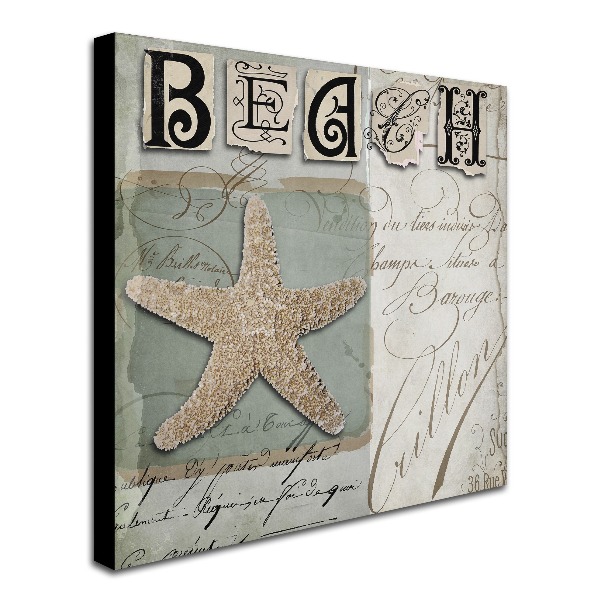 Trademark Fine Art "Beach Book II" Canvas Art by Color Bakery