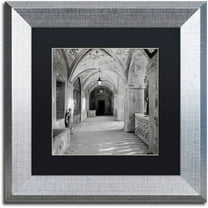 Trademark Fine Art "Padova I" Canvas Art by Alan Blaustein, Black Matte, Silver Frame