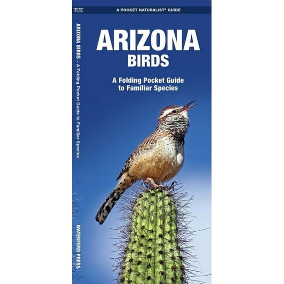 Pocket Naturalist Guides: Arizona Birds: A Folding Pocket Guide to Familiar Species (Other)