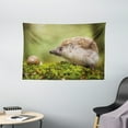 thumbnail image 1 of Hedgehog Tapestry, Animal Photography in Eastern Europe Slug with Hedgehog Scenes from Nature Print, Wall Hanging for Bedroom Living Room Dorm Decor, 60W X 40L Inches, Green Brown, by Ambesonne, 1 of 2