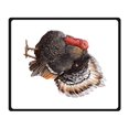 thumbnail image 2 of RYLABLUE Turkey Blanket Fleece Throw Blanket for Sofa or Bed 58x80 inches, 2 of 3