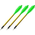 thumbnail image 5 of Southland Archery Supply SAS Rogue 165 FPS with Adjustable Stock & 3 Broadhead Bolts (Black), 5 of 10