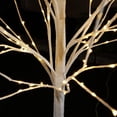 thumbnail image 2 of Pantalla exterior iluminada Hi-Line para regalo, abedul, 1,5 m LED, 2 of 5