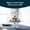 Selene Glass, variant on Versatile Covered Glass Cake Stand, Elegant Curved Footed Base with Dome Lid, Premium Transparent Dessert Display Dish for Home Kitchen, Party and Holiday Gatherings