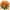 Orange, variant on OYIGU 13.8" Artificial Plastic Daisy Wedding Bouquet
