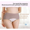 thumbnail image 4 of XINQIHANG 3 Pcs Culottes Anti-Fuites pour Femmes, Culottes Anti-Fuites pour Incontinence pour Femmes Lavables, 4 of 6