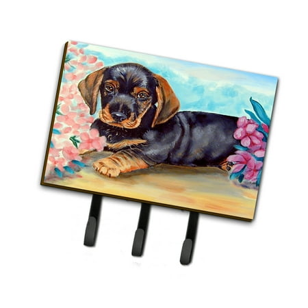 

Carolines Treasures 7501TH68 Dachshund Leash or Key Holder Triple multicolor