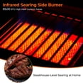 thumbnail image 2 of Flintex Upgraded 6 Burner Propane Gas Grill with Infrared Side Burner, 54,300 BTU, Diamond Grates & Reversible Griddle for Outdoor BBQ, 2 of 10