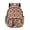 Colorful Graffiti Star Pattern, variant on Dinosaur Neon Lightning Bolt Pattern 17 Inch Rucksack for Boys Girls, Lightweight Comfort Carry Kids Backpack for High School Elementary School