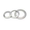 thumbnail image 2 of 10/50 Pcs M2.5 M3 M4 M5 M6 M8 M10 M12 M14 M16 DIN9250 Joint Élastique en Acier Inoxydable 304 Rondelle à Ressort (10 Pcs M16), 2 of 3