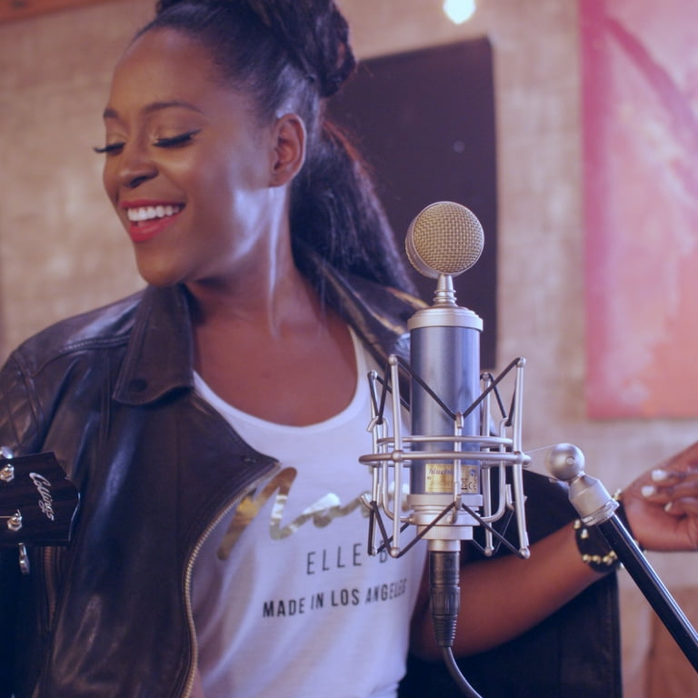 Blue Bluebird SL Wired Condenser Microphone, 20Hz-20kHz, 50