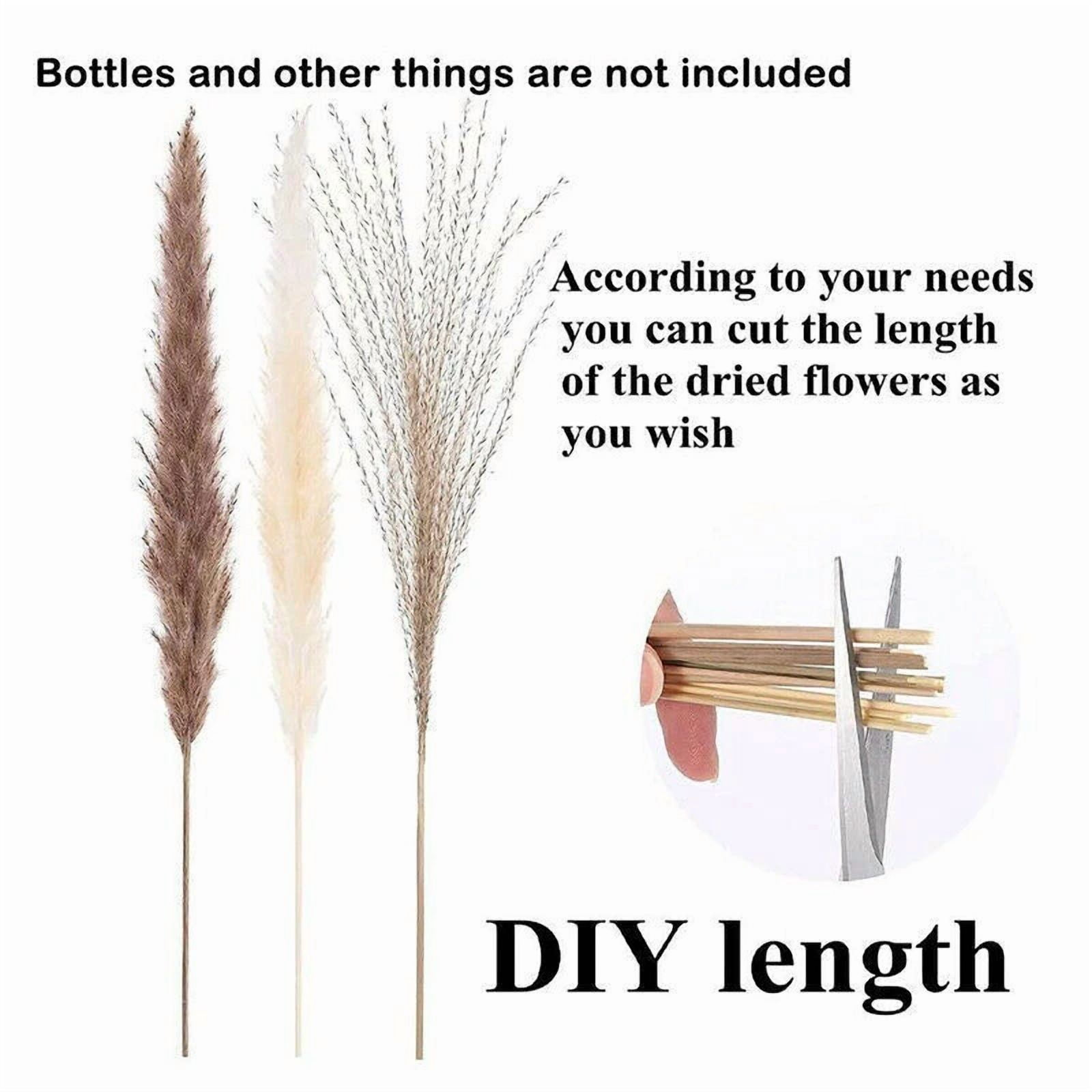 CIRCLE- 60 Pcs Pampas Grass Natural Dried Reed Flower Bunch Home Wedding Decor Bouquets
