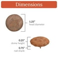 thumbnail image 2 of 50 Pack 1.25 Inch Rusted Finish Decorative Door Nail Clavos By Borderland Rustic Hardware, 2 of 4